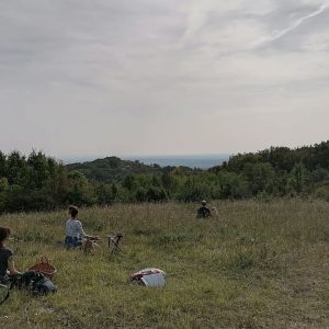 visetjednitecajevi (1)