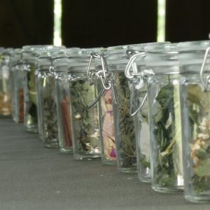 visetjednitecajevi (2)