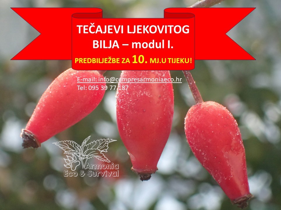 TEČAJ LJEKOVITOG BILJA – MODUL I. (listopad)