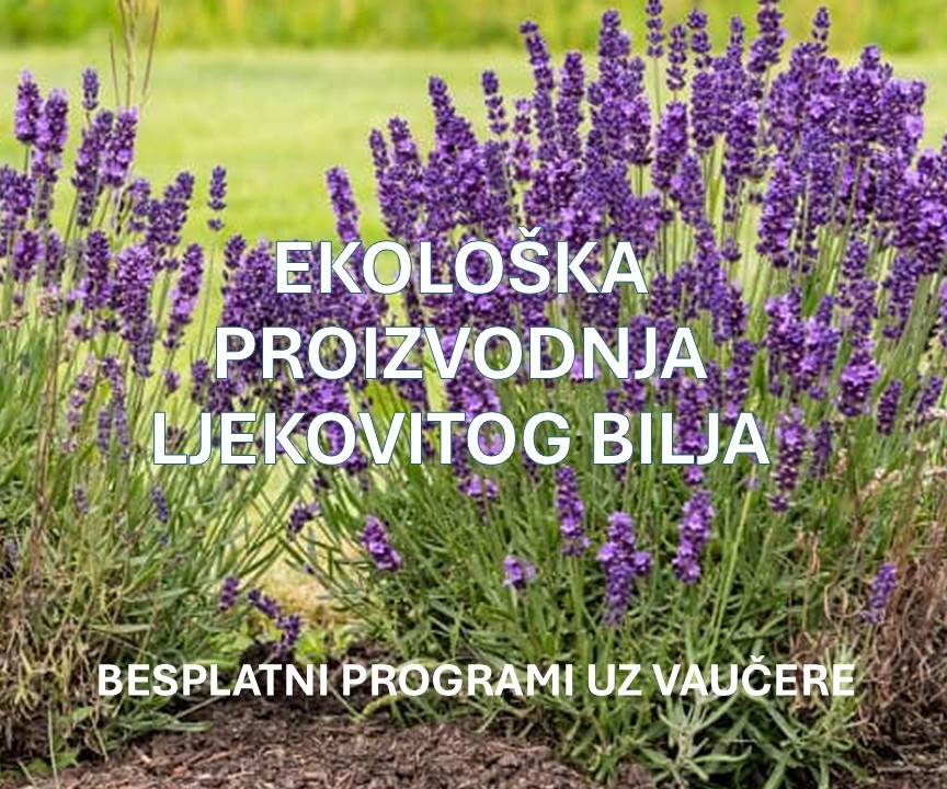 EKOLOŠKA PROIZVODNJA LJEKOVITOG BILJA